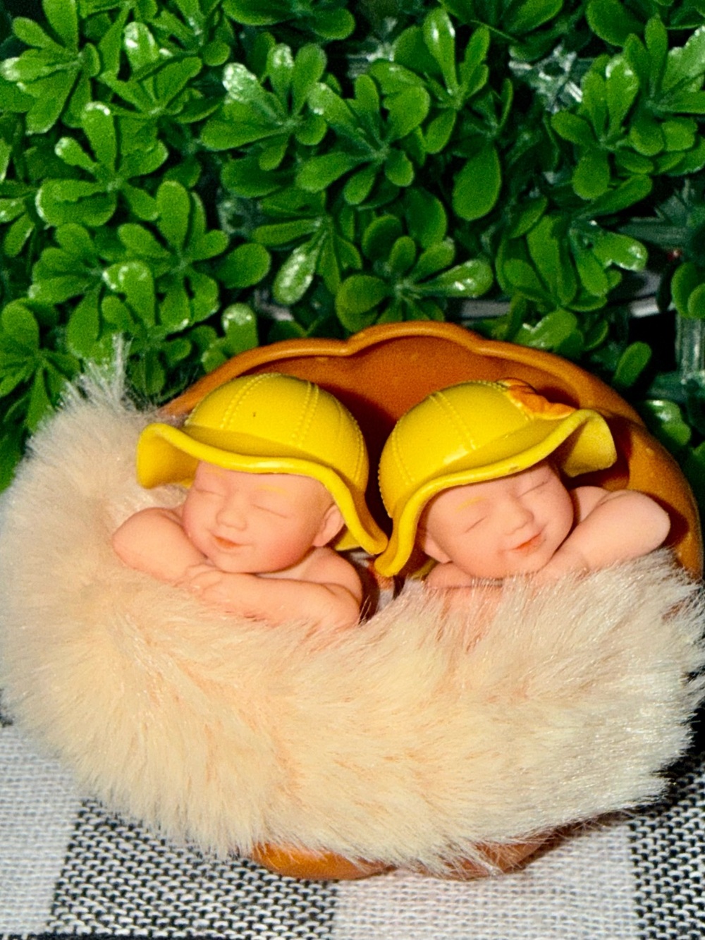 My mini baby pumpkin series TWINS